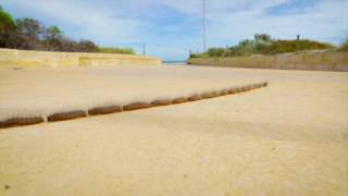 Time lapse captures processionary caterpillars crossing footpath [upl. by Ahsiekit]