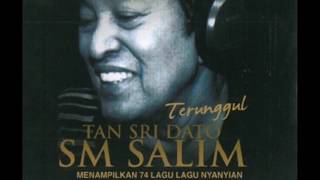 SM Salim  Selamat Tinggal Bungaku Official Audio Video [upl. by Leahcimnoj780]