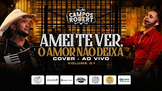 Campos e Robert Ao Vivo  Amei Te Ver O Amor Não Deixa Cover [upl. by Wilburt]