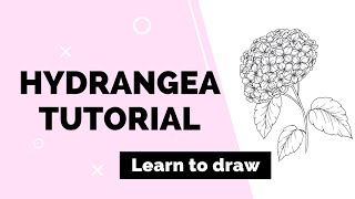 Learn to draw flowers HYDRANGEA step by step tutorial [upl. by Eichman]