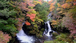 Autumn at Nikko Tochigi Japan October 2024 [upl. by Otte]