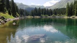 Forellen im Obernberger See in Tirol [upl. by Champagne]