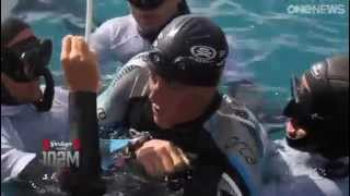 Freediver record holder passes out  Dramatic footage [upl. by Severn]