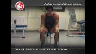 Arms  Wrist curl using an elastic band [upl. by Sarid]