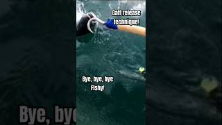 Practicing Gaff releases salmon proper release conservation howto upclose fishing letitgo [upl. by Gariepy]