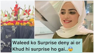 Waleed Ko Ni Btaya K Pakistan A Rahi But😅 Maid Ny Panda Phora  Surprise Pr Surprise ❤️🥹 [upl. by Anaeda613]