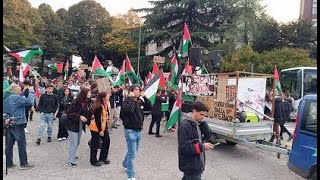 Guardando la manifestazione di Udine [upl. by Johnath]