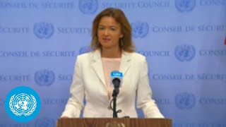 Slovenia on UNRWA and Gaza  Security Council Media Stakeout [upl. by Zorina247]