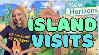 Visiting YOUR Islands Via Dodo Code or Dream Address animalcrossing animalcrossingnewhorizons [upl. by Latouche]