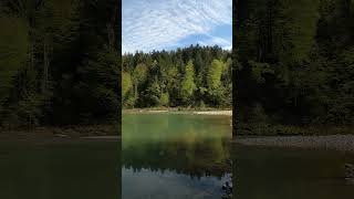 Forest Gorge  Austria  Vorarlberg cave lake shorts [upl. by Vanya675]