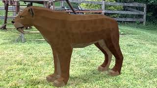 More Facts about the Saber Tooth Cat and pictures of Smilodon in Augmented Reality in 2 forms [upl. by Elakram636]