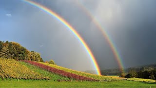 Serenità della natura bellissimo pianoforte con citazioni ispiratrici [upl. by Assyn622]