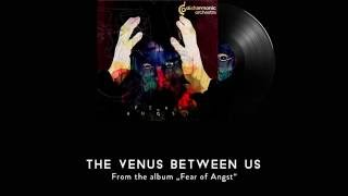 DISHARMONIC ORCHESTRA  The venus between us [upl. by Noyerb]