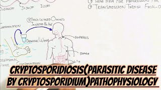 CryptosporidiosisCryptosporidium Cycle Pathophysiology umerfarooqbiology7083 [upl. by Eilata]