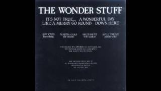 The Wonder Stuff  Its Not True The Wonder Stuff B Sides [upl. by Brad]