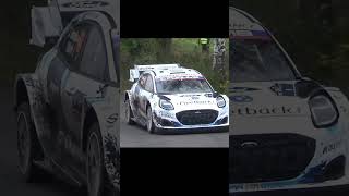 WRC RALLY 2024 CENTRAL EUROPE RALLYOFGODS automobile toyotagazooracing wrcrally [upl. by Buehler659]