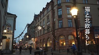 北欧暮らし🌿学校帰りに市場でお買い物  スウェーデンの素敵な文房具屋さん  北欧の冬支度  海外生活vlog [upl. by Adyaj]