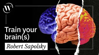 You have 3 brains This is how to use them  Robert Sapolsky [upl. by Araf]