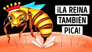 ¿Por qué la picadura de la abeja reina puede ser más peligrosa Manténgase alerta [upl. by Iredale754]