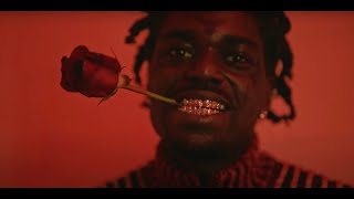 Kodak Black  Catch Fire Official Music Video [upl. by Dori]