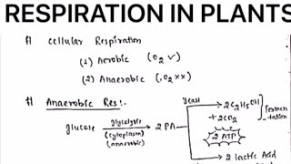 RESPIRATION IN PLANTS NOTESbotanybydrjaswinderkaur [upl. by Ahsia801]