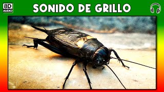 SONIDO DE GRILLO 🦗 [upl. by Anivad824]