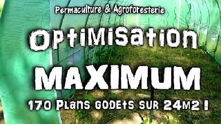 PERMACULTURE PLANTATIONS OPTIMISÉES DANS LA SERRE DU JARDIN POTAGER  MES ASTUCES MAI  JUIN [upl. by Abernathy]