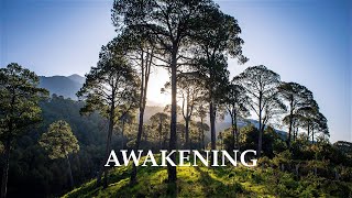 Awakening  Llewellyn VaughanLee [upl. by Merete453]