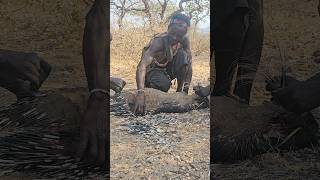 Hunting and Cooking porcupine with Hadzabe Tribe hadzabetribe viral [upl. by Atnoved753]