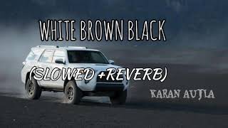 White brown black slowed reverb punjabisong [upl. by Alian]