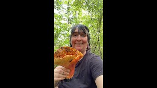 Chanterelle Mushrooms off the Rails Plus a giant lobster mushroom [upl. by Millhon]