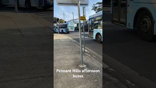 Pennant Hills afternoon buses [upl. by Gide]