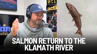 First Salmon in Over a Century Returns to Klamath River After Dam Removal [upl. by Loraine]