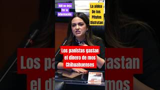 Andrea chávez exhibe a los panistas de Chihuahua por corrupción ultimahora [upl. by Yrral391]