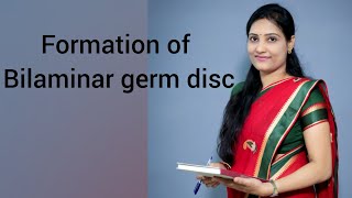 Formation of bilaminar germ disc and development of Blastocyst [upl. by Ioved]