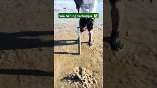 Sea fishing technique ✅ seafish beach fishing fishingtips ✅ [upl. by Davilman773]