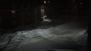 Snow Storm  LIVE WEBCAM  Fredericton NB [upl. by Wojak738]