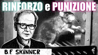 il CONDIZIONAMENTO OPERANTE e lo SHAPING  la GABBIA di BF Skinner [upl. by Israeli]