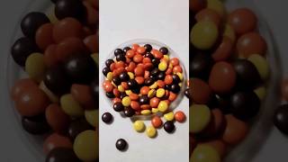 REESES peanut butter chocolate coated candy shorts asmr asmrsounds satisfying oddlysounds [upl. by Maddocks]