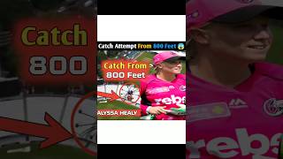 Alyssa Healy’s 270Foot Record Catch 😱 [upl. by Madella]