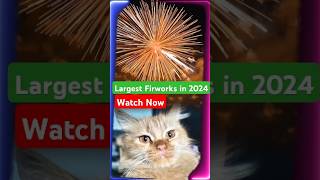 Dubai New Year Largest Firework in 2024  Biggest Fireworks in the World firework dubai 2024 [upl. by Kissie]