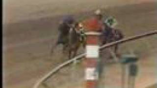 Affirmed vs Alydar  1978 Preakness Stakes 8th Meeting [upl. by Botnick]