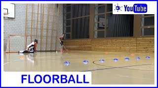 Floorball Training Skills with Disc and Goalie [upl. by Anifled]