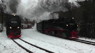 Dampflok 99 5906 mit PmG  Freundeskreis Selketalbahn WinterSonderfahrt [upl. by Ynottirb]