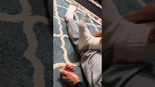 Plantar fasciitis exercise for instant heel pain relief [upl. by Oelgnaed]