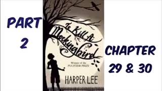 To Kill A Mockingbird by Harper Lee Part 2 Chapter 29 amp 30 Audiobook Read Aloud [upl. by Dolph583]