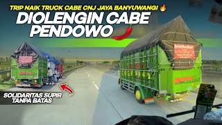 Seru sekali‼️Cabe CNJ 0L33nk bareng cabee Pendowo pedas Banyuwangi 😍 Part 2 [upl. by Lichter]