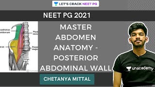 Master Abdomen Anatomy  Posterior Abdominal Wall  NEET PG 2021  Chetanya Mittal [upl. by Ayifa]