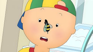 Caillou and the Bee  Caillous New Adventures [upl. by Yousuf252]