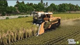 Zbieranie ryżu na Azjatyckiej mapie Huntan Pantai Farming Simulator 25 [upl. by Asenav]